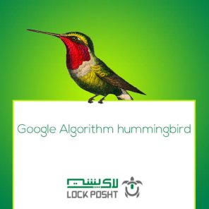 تصویر شاخص الگوریتم مرغ مگس خوار